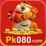 PK080 Game