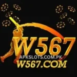 W567 Game