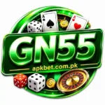 GN55 Game